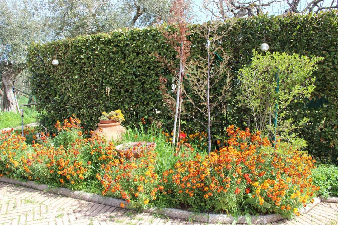 Le Coccole Del Trasimeno Guest House Tuoro sul Trasimeno Exterior photo