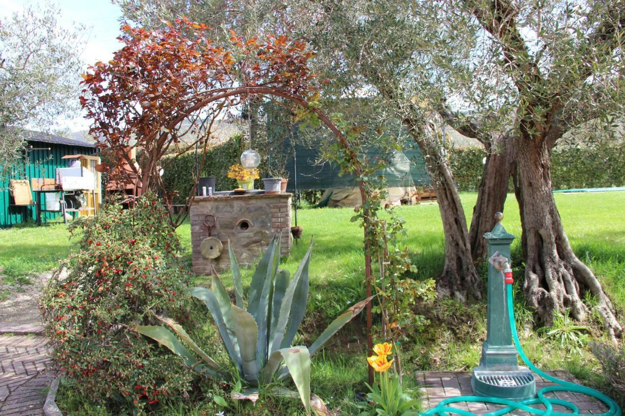 Le Coccole Del Trasimeno Guest House Tuoro sul Trasimeno Exterior photo