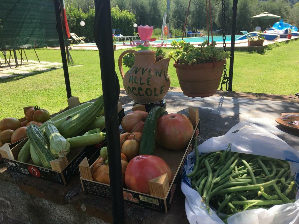 Le Coccole Del Trasimeno Guest House Tuoro sul Trasimeno Exterior photo