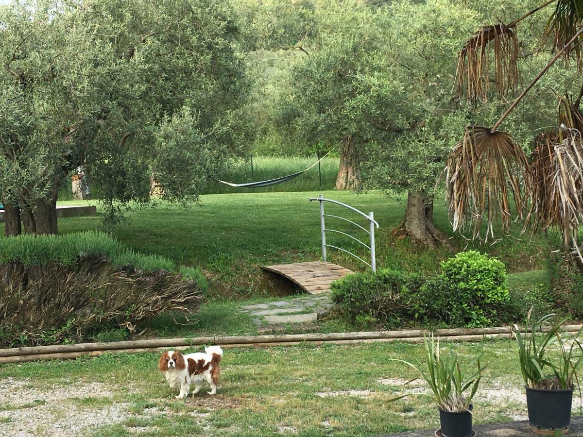 Le Coccole Del Trasimeno Guest House Tuoro sul Trasimeno Exterior photo