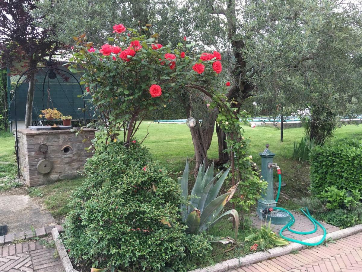 Le Coccole Del Trasimeno Guest House Tuoro sul Trasimeno Exterior photo
