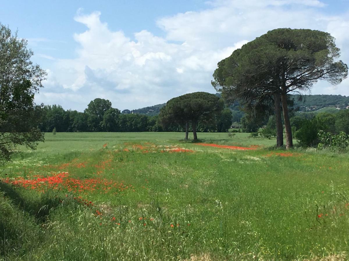 Le Coccole Del Trasimeno Guest House Tuoro sul Trasimeno Exterior photo
