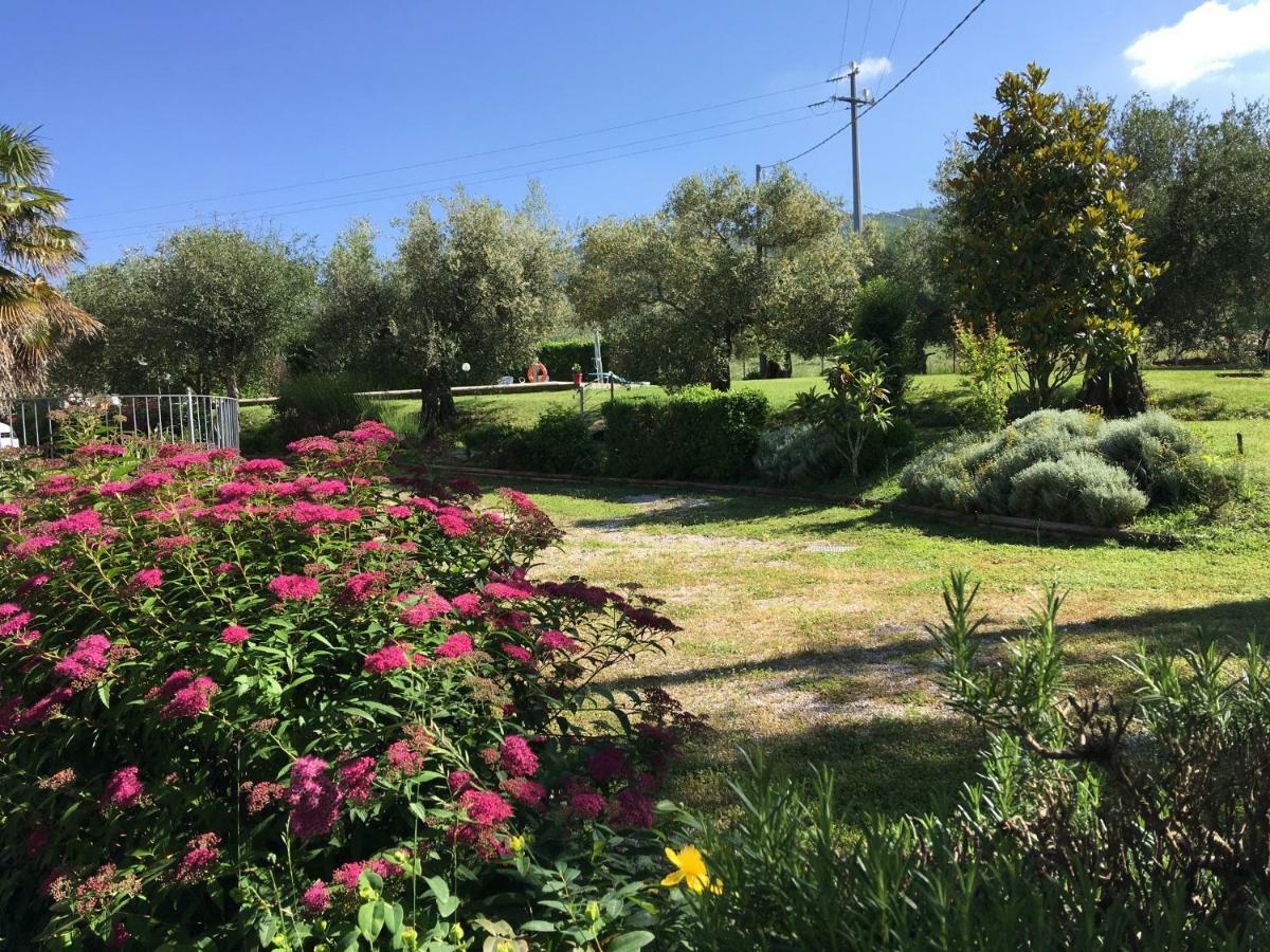 Le Coccole Del Trasimeno Guest House Tuoro sul Trasimeno Exterior photo